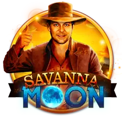 999win bingo em casa cassino iOS